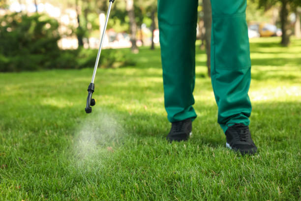 Best Exterminator Services  in North Richland Hills, TX