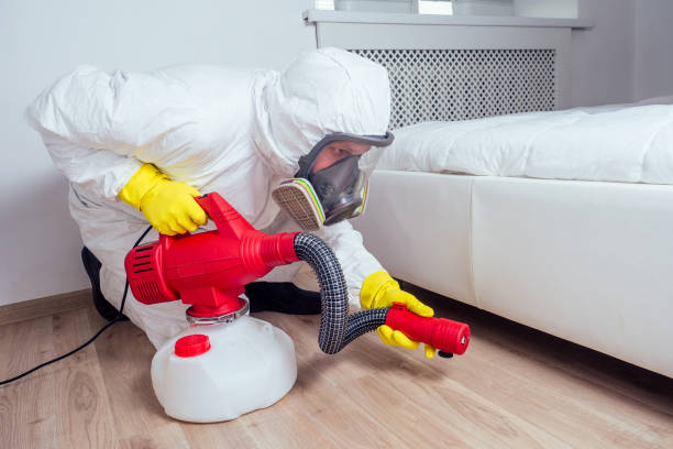 Insect Control in North Richland Hills, TX
