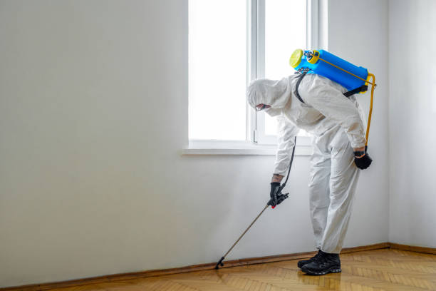 Flea Control Services in North Richland Hills, TX