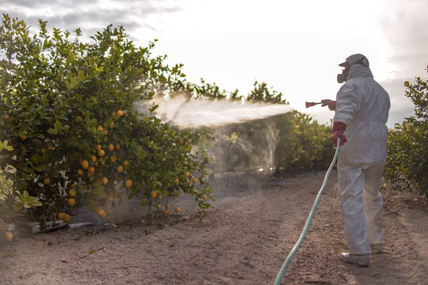 Best Affordable Pest Control Services  in North Richland Hills, TX