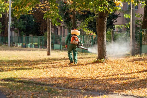 Best Best Pest Control Companies  in North Richland Hills, TX