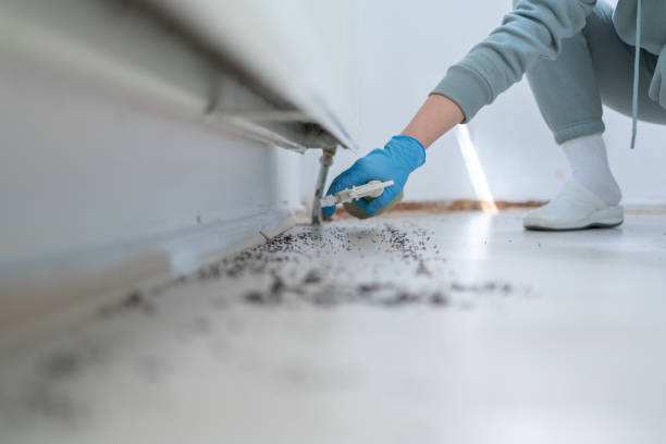 Best Residential Pest Control  in North Richland Hills, TX