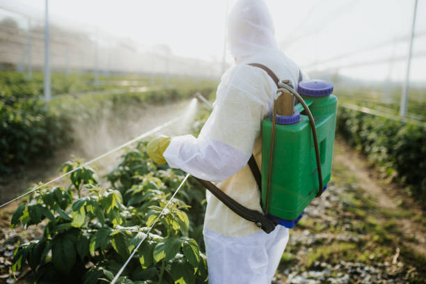 Best Pest Removal Services  in North Richland Hills, TX